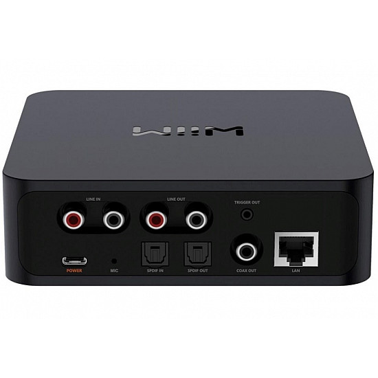 WiiM Pro - Odtwarzacz sieciowy