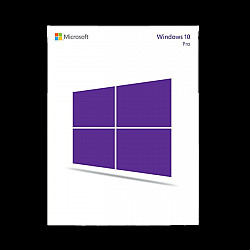 Windows 10 Pro OEM:NONSLP