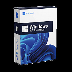 Windows 11 IoT Enterprise LTSC 2024