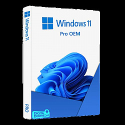 Windows 11 Pro OEM Key
