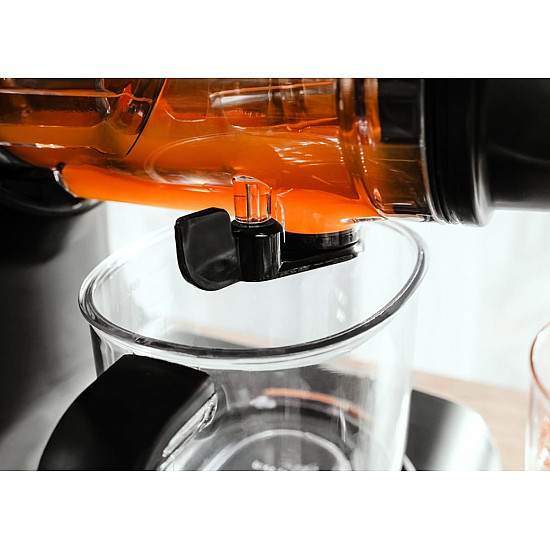 Wyciskarka wolnoobrotowa Nutriboost LO7250