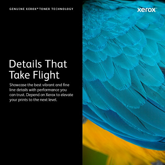 XEROX WorkCentre 7120 toner magenta standard capacity 1-pack (006R01455)