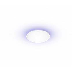 Yeelight Smart Ultra Slim LED Ceiling Light C2201C300 YLXDD-0033 21 W 2700-6500 K Led 220-240 V