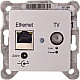 Z ALLNET Punkt-zu-Punkt Coax 8 Port Master Chassis/Verstärker EOC 100 zbh. EOC G.hn Unterputzdose/Durchgangsdose ALL-GHN108S-100-UP-Dose