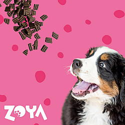 ZOYA ColdPRO Beef - dry dog food - 1kg