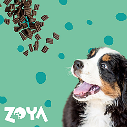 ZOYA ColdPRO Deer - dry dog food - 1kg