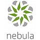 ZYXEL NEBULA LIMITED LIFETIME LICENSE 1 X NAP