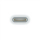 Apple USB-C to Apple Pencil Adapter MQLU3ZM/A