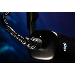 XLR Cable