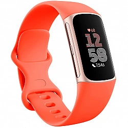 Fitbit Charge 6 - Champagne Gold Aluminium - Aktivitätsmesser mit Infinity Band - Silikon - korallefarben - NFC, Bluetooth - 37.64 g (40-56-7910)