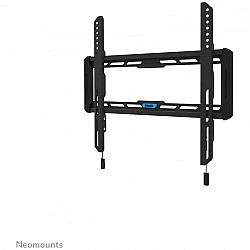 WL30-550BL14 Screen Wall Mount