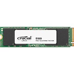 SSD diskas E100 480GB M.2 NVMe 2280 PCIe 4.0