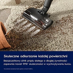 Upright vacuum cleaner Animal 800 EP82AB25UG