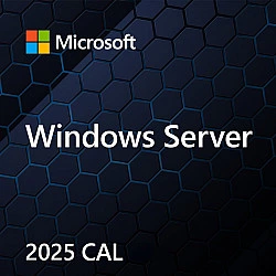 OEM Win Svr CAL 2025 Device ENG 5Clt EP2-25243