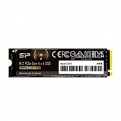 SSD diskas SP US75 2TB M.2 PCIe Gen4x4 NVMe 1.4 7000/6500MB/s