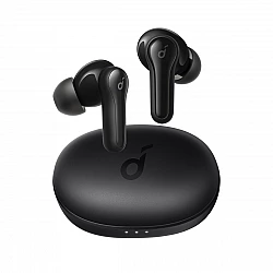 True Wireless R50i blac k