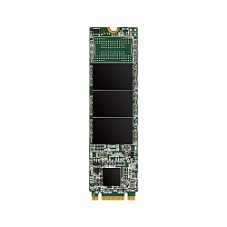 SSD diskas Silicon Power A55 256GB M.2 SATA III 460/450MB/s