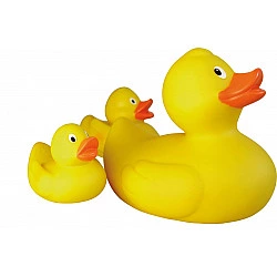 TOYS TO BATH FAMILY KACZUSZEK