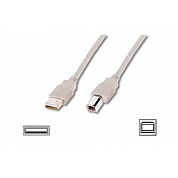 Logilink USB 2.0 connection cable USB-A to USB-B USB A male USB B male