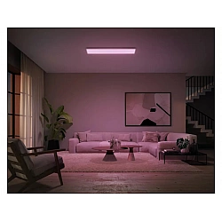 Philips Hue Surimu Rectangle Panel 100 W White and Color 2000-6500 Hue White Color Ambiance Bluetooth