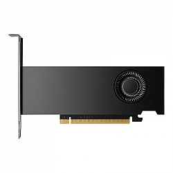 Vaizdo Plokštė Quadro RTX 2000 ADA 16GB PNY (Retail)