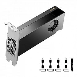 Vaizdo Plokštė Quadro RTX 2000 ADA 16GB PNY (Retail)