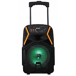 Portable speaker Bluetooth APS22