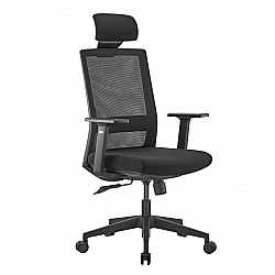 Premium Ergonomic Office Chair with High Back Ergo Office, max 150kg, ER-425