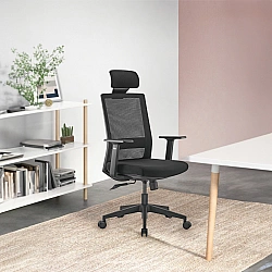 Premium Ergonomic Office Chair with High Back Ergo Office, max 150kg, ER-425