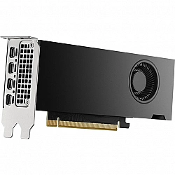 PNY NVIDIA Quadro RTX 2000 ADA Power Limited Low Profile 16GB GDDR6 PCIe 4.0 x8 OEM version VCNRTX20