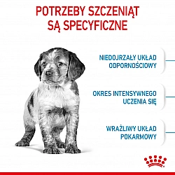 Royal Canin SHN Medium Puppy - sucha karma dla szczeniąt - 4kg