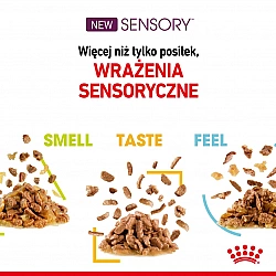 ROYAL CANIN Sensory Feel - wet cat food - 12x85g