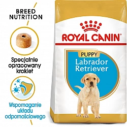ROYAL CANIN SHN Breed Labrador Junior dry dog food - 12 kg