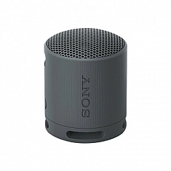 Sony SRS-XB100 - Wireless Bluetooth Portable Speaker, Durable IP67 Waterproof & Dustproof, 16 Hour Battery, Eco, Outdoor and Travel in Black