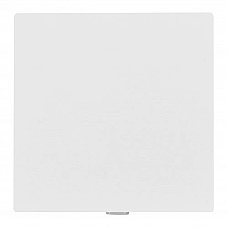 TP-LINK TPLINK Smart Light single Switch TAPO S210 (TAPO S210)