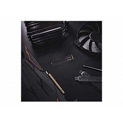 WD WD_BLACK SN770 WDBBDL0020BNC - SSD - 2 TB - intern - M.2 2280 - PCIe 4.0 x4 (NVMe)