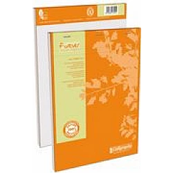 Calligraphe Notizblock Forever, A4, 100 Blatt, kariert aus Recycling-Papier, 70 g/qm, blauer Engel, - 5 Stück (17254C)
