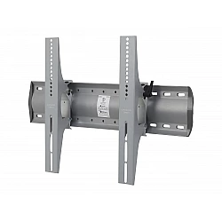 Ergotron TM Tilting Wall Mount - Befestigungskit (Wandplatte, Befestigungen, 2 Klammern) für LCD-/Plasmafernseher - Aluminium, Stahl - Silber - Bildschirmgröße: von 81,3 cm (von 81,30cm (32) ) - Wandmontage möglich (61-143-003)