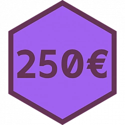 ITwork 250€ dovanų čekis - kuponas