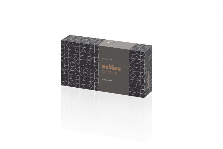 ITwork.lt: Wipes for face WEPA Prestige, 2-Ply, cellulose, white 100 pcs. 206451